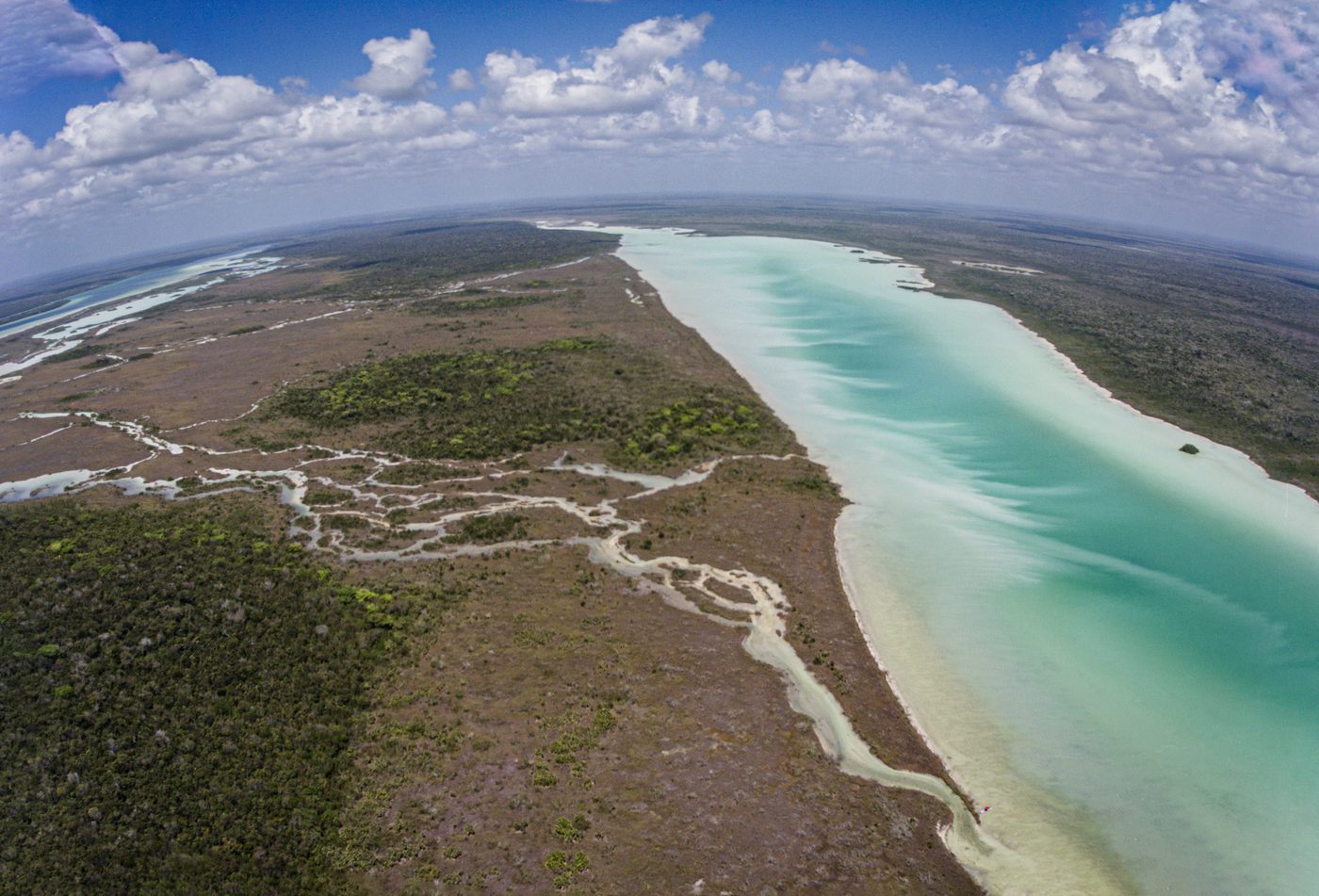 The lagoon's bands of jade and turquoise meeting the mangrove shoreline
