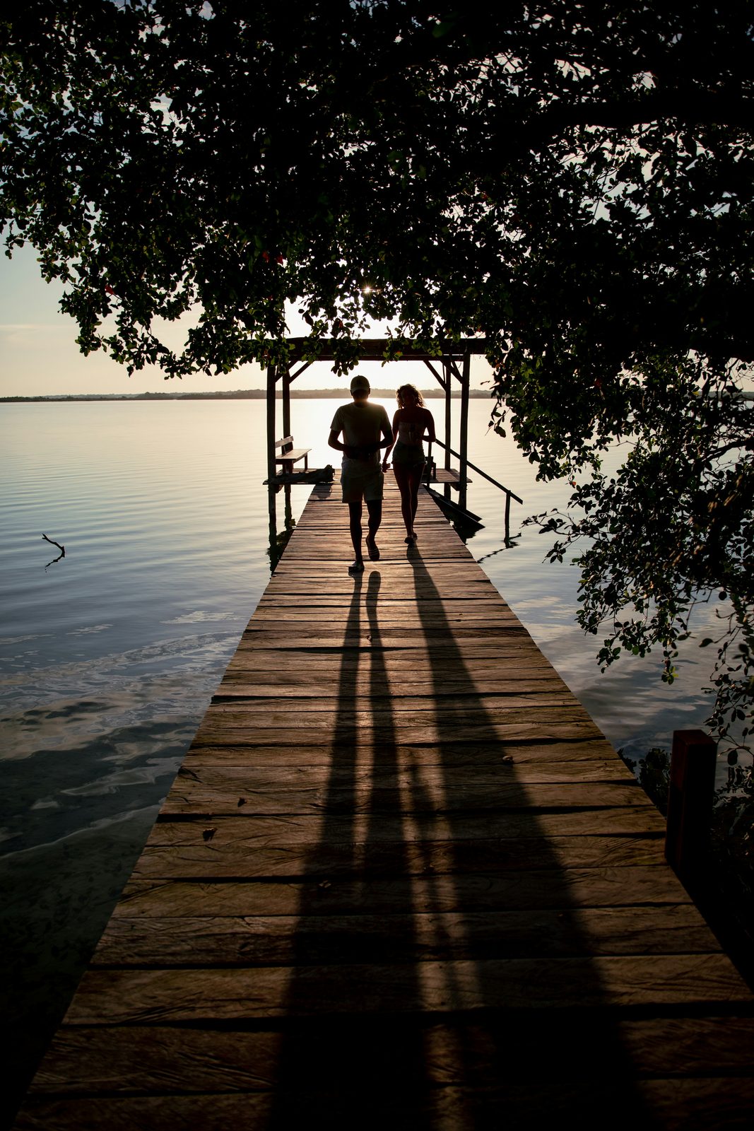 Two people walking back along a wooden pier framed by mangrove branches at golden hour