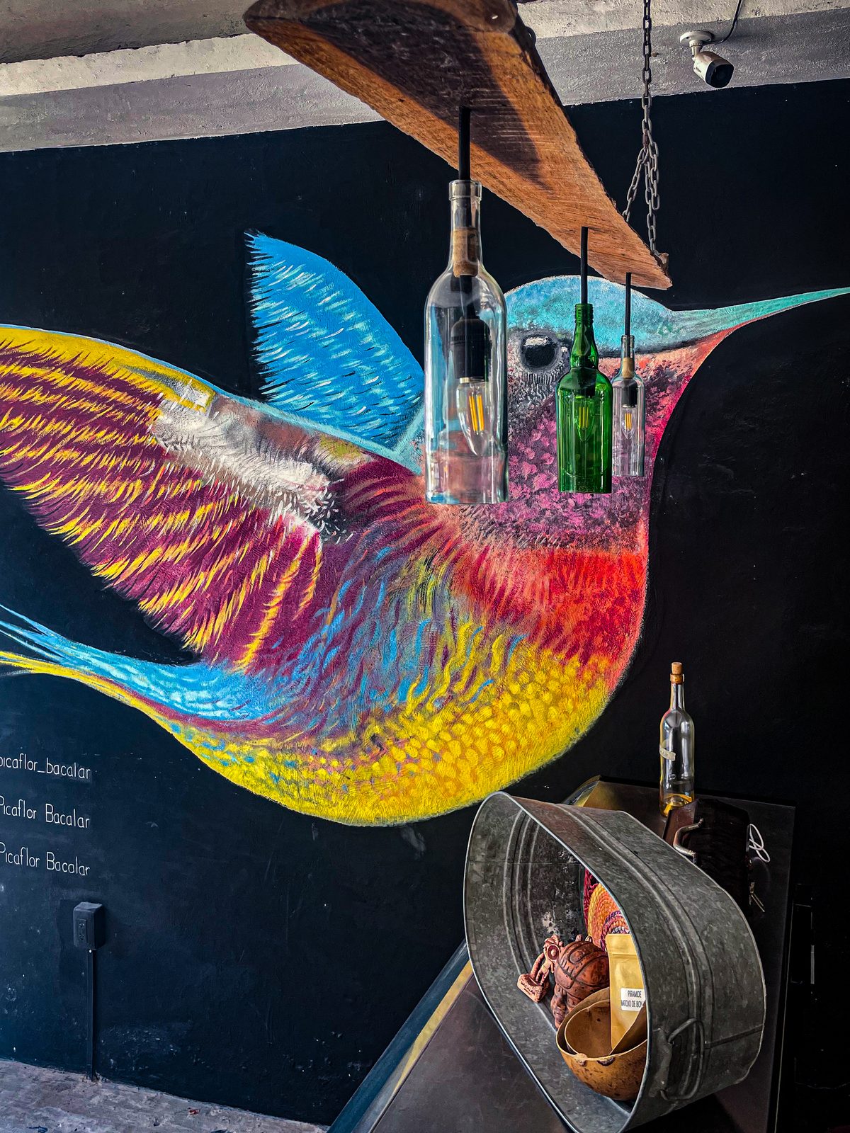 A vivid hummingbird mural on a black wall behind hanging bottle-lights in a Bacalar bar